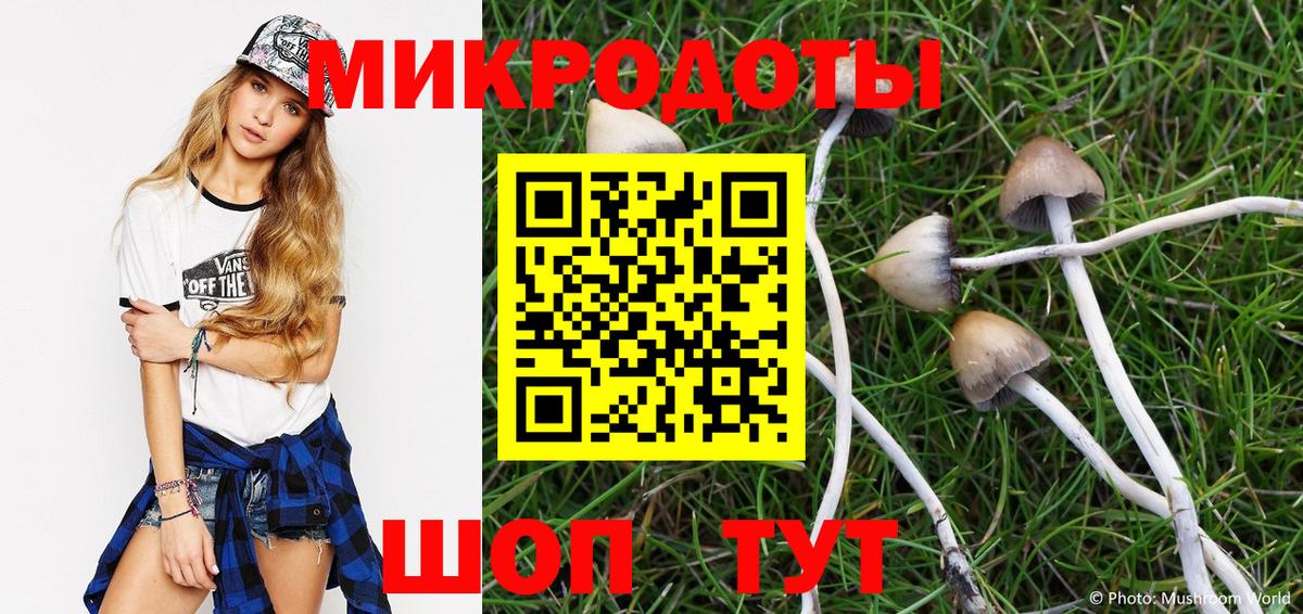 Псилоцибиновые грибы мухоморы Грязи